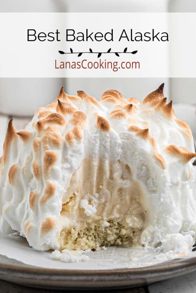 Finished Baked Alaska on a white serving plate.