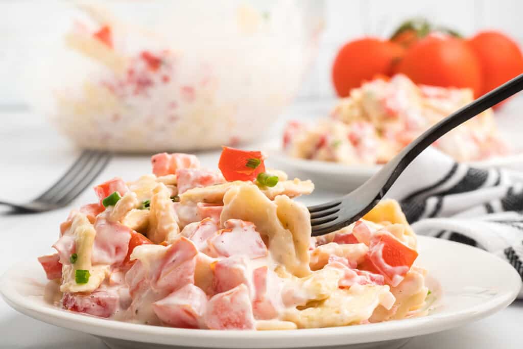 A serving of tomato cracker salad on a white plate.