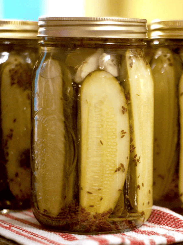 Favorite Kosher Dill Pickles Story