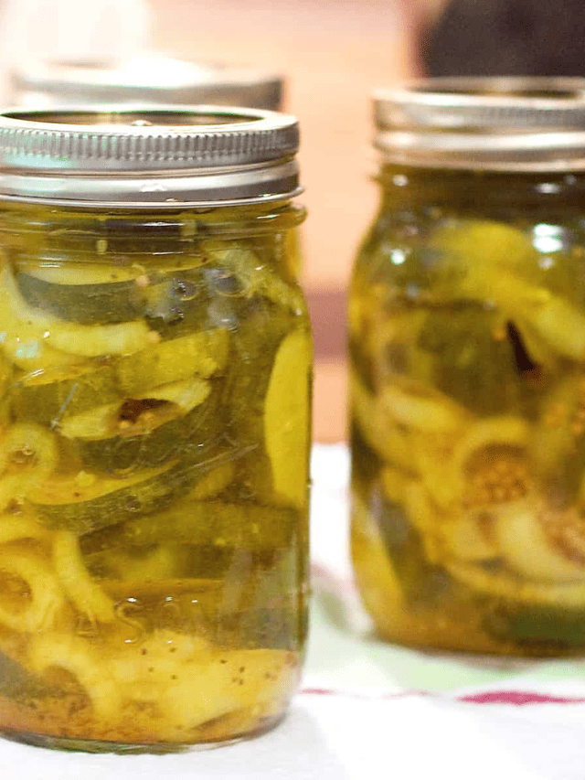 The Best Sugar Free Bread and Butter Pickles Story